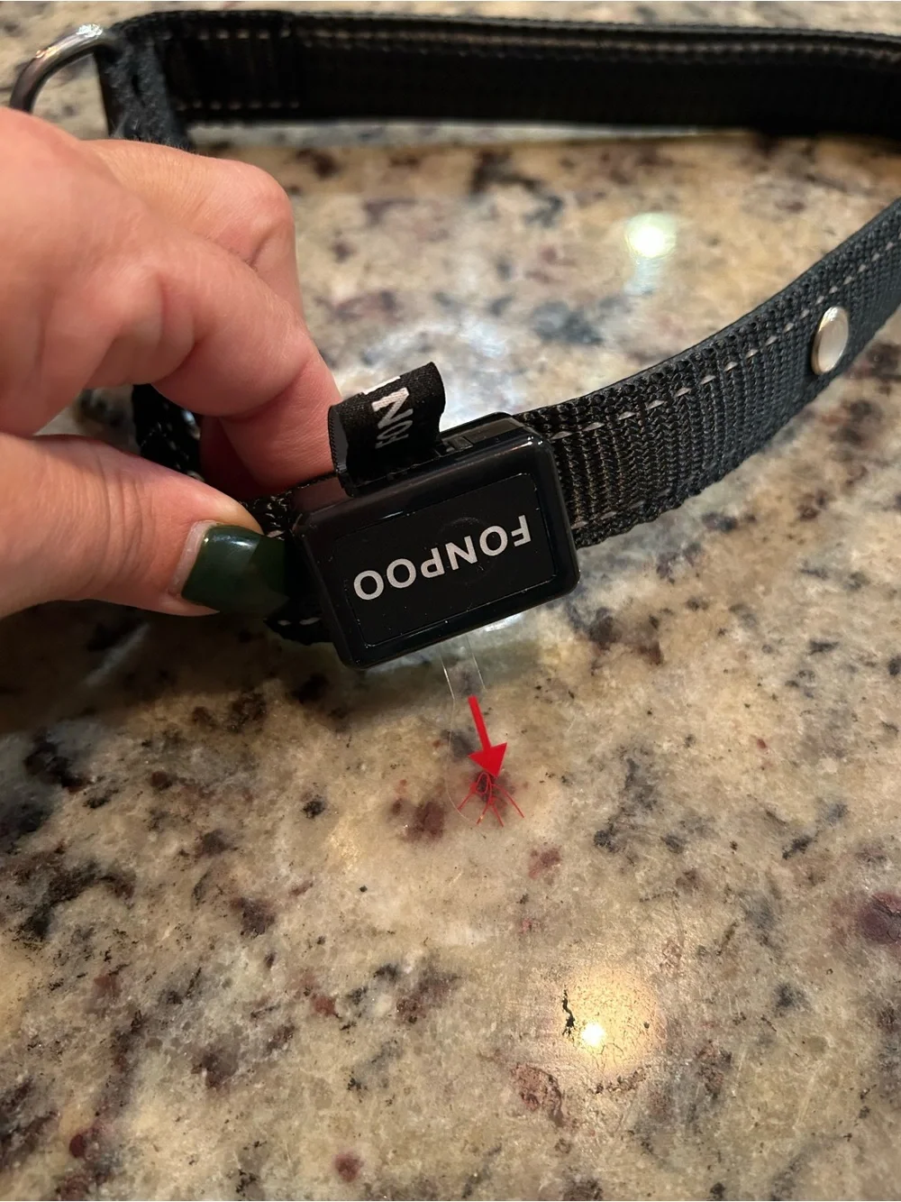 Black Dog Leash and Collar Set - Durable Nylon Lead